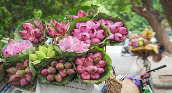 Hanoi in Vietnam: Three days program